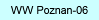 WW Poznan-06