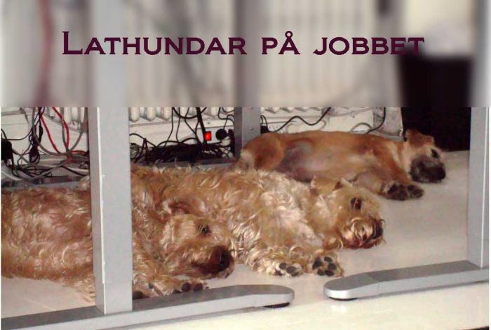 lathundar-p&aring;-jobbet