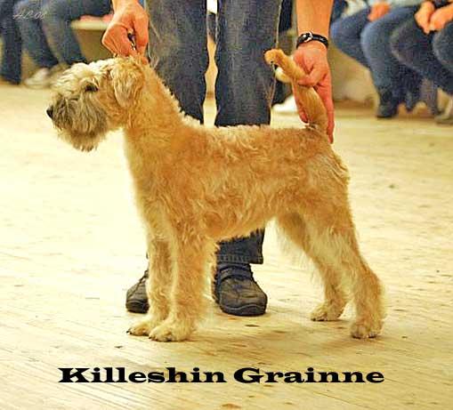 lundegard-killeshingrainneb lundegard-killeshingrainneb