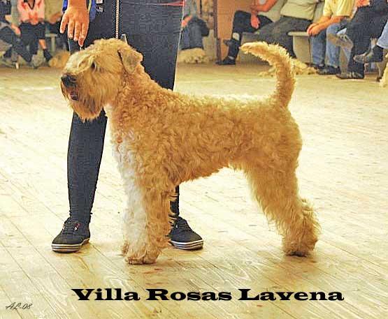 lundegard-villarosaslavena lundegard-villarosaslavena