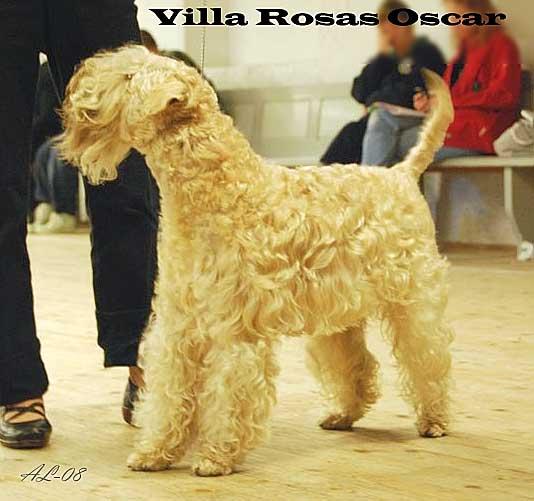 lundegard-villarosasoscar lundegard-villarosasoscar