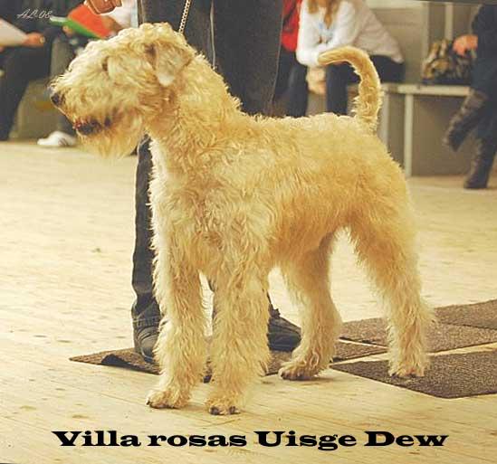 lundegård-villarosasuisgede lundegård-villarosasuisgede