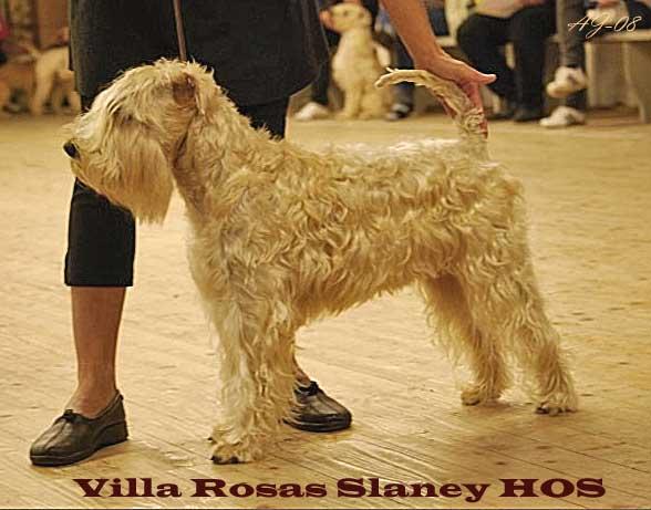 lundegard-vr-slaney-hos lundegard-vr-slaney-hos