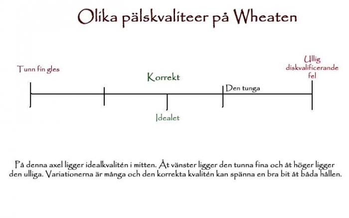 schema-palskvalit&eacute;
