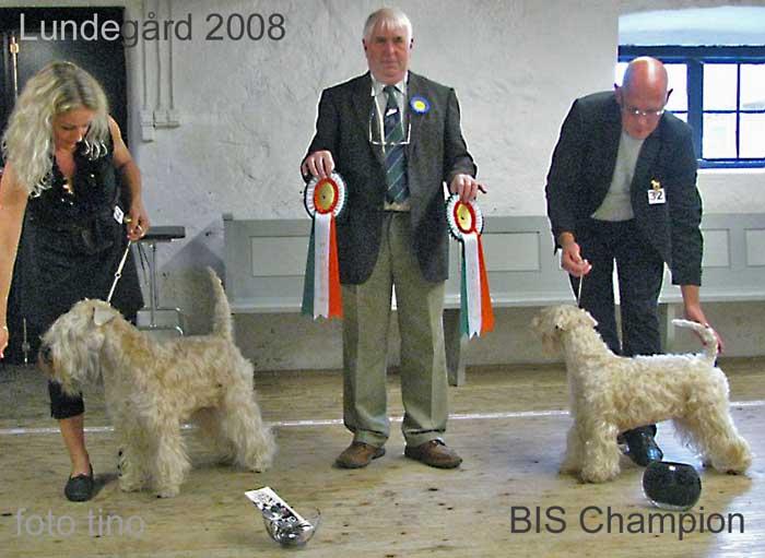 lundegard-bis-champion lundegard-bis-champion