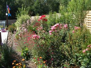 blomsterhav