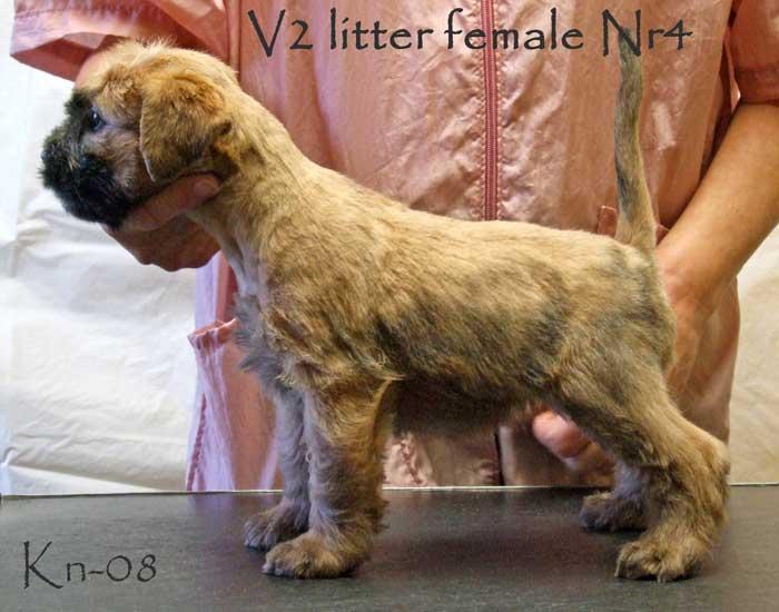 v2-female4 v2-female4
