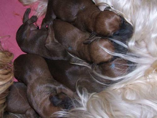 q2-newborn q2-newborn
