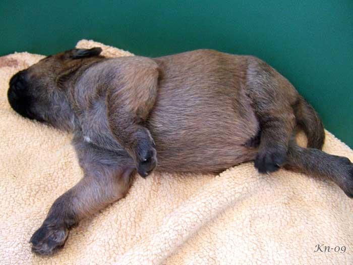 w2-1v-male7-sleeping1 w2-1v-male7-sleeping1