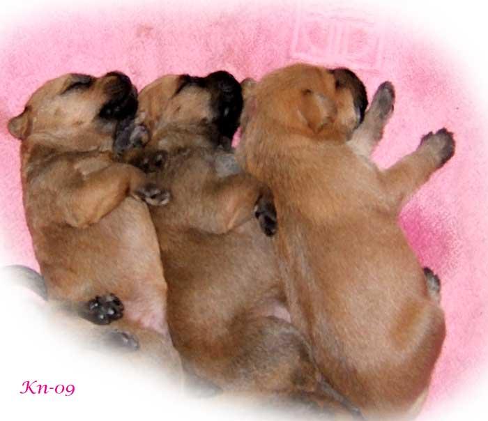 w2--2v-3valpar-sover w2--2v-3valpar-sover