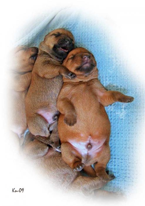 w2-4days-cute-brothers w2-4days-cute-brothers