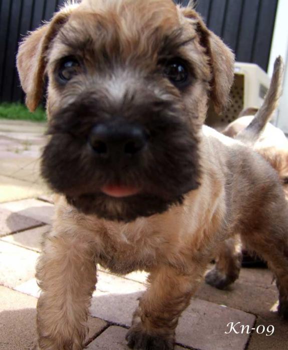 w2-5v-nr7-cute w2-5v-nr7-cute