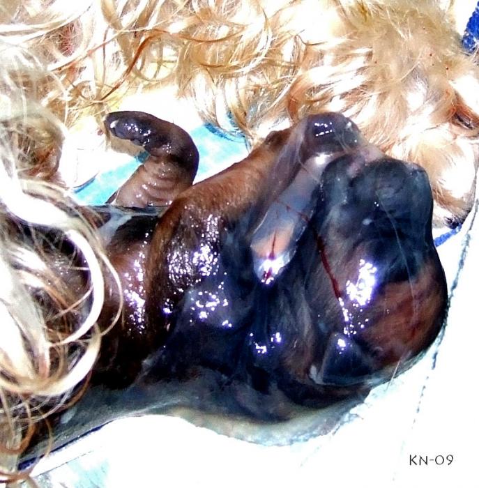 newborn2